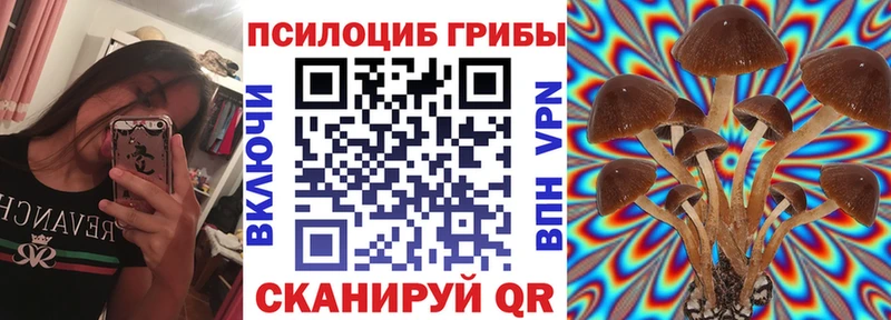 Псилоцибиновые грибы ЛСД блэк спрут онион Омутнинск где купить наркоту
